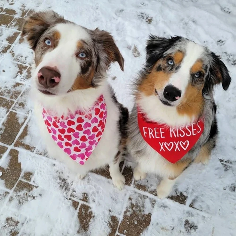 Кърпа за кучета по поръчка,Безплатни целувки XOXO, Персонални Кърпа за кучета в 
