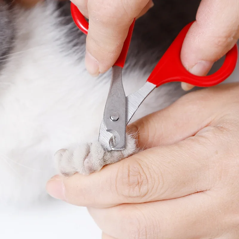 Ножица за котешки нокти за едно малко коте, професионален нож за щенячьих нокти, ножица за нокти на домашни любимци, Машинка за подстригване, аксесоари за грижа за котки